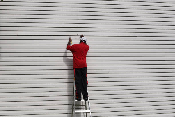 Affordable Siding Repair and Maintenance Services in Ferdinand, IN